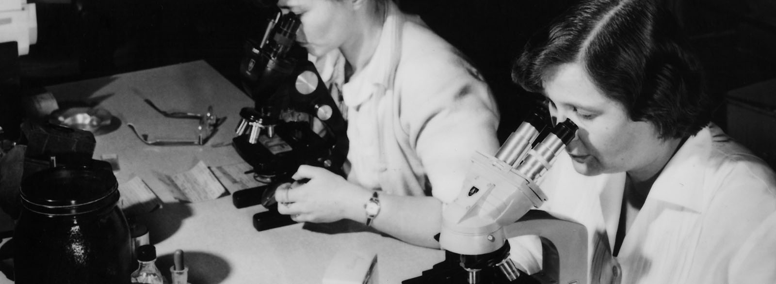 Lab technicians looking through microscopes