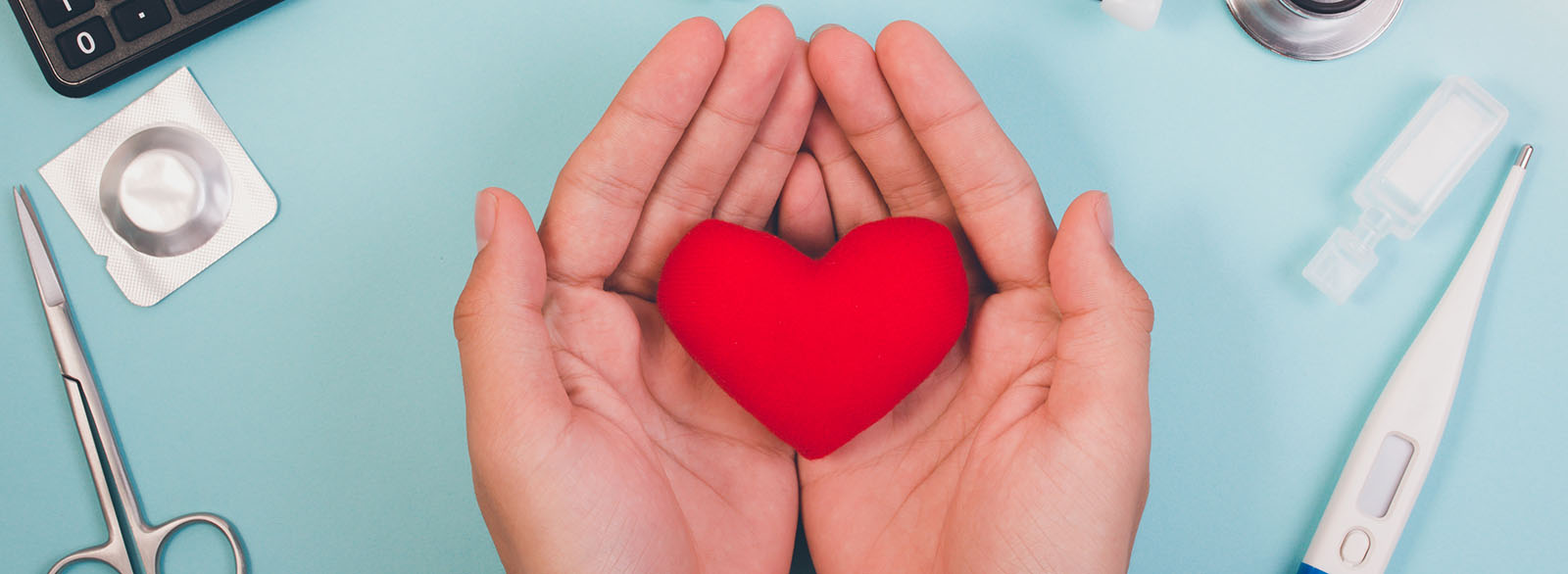 Hands holding plush heart