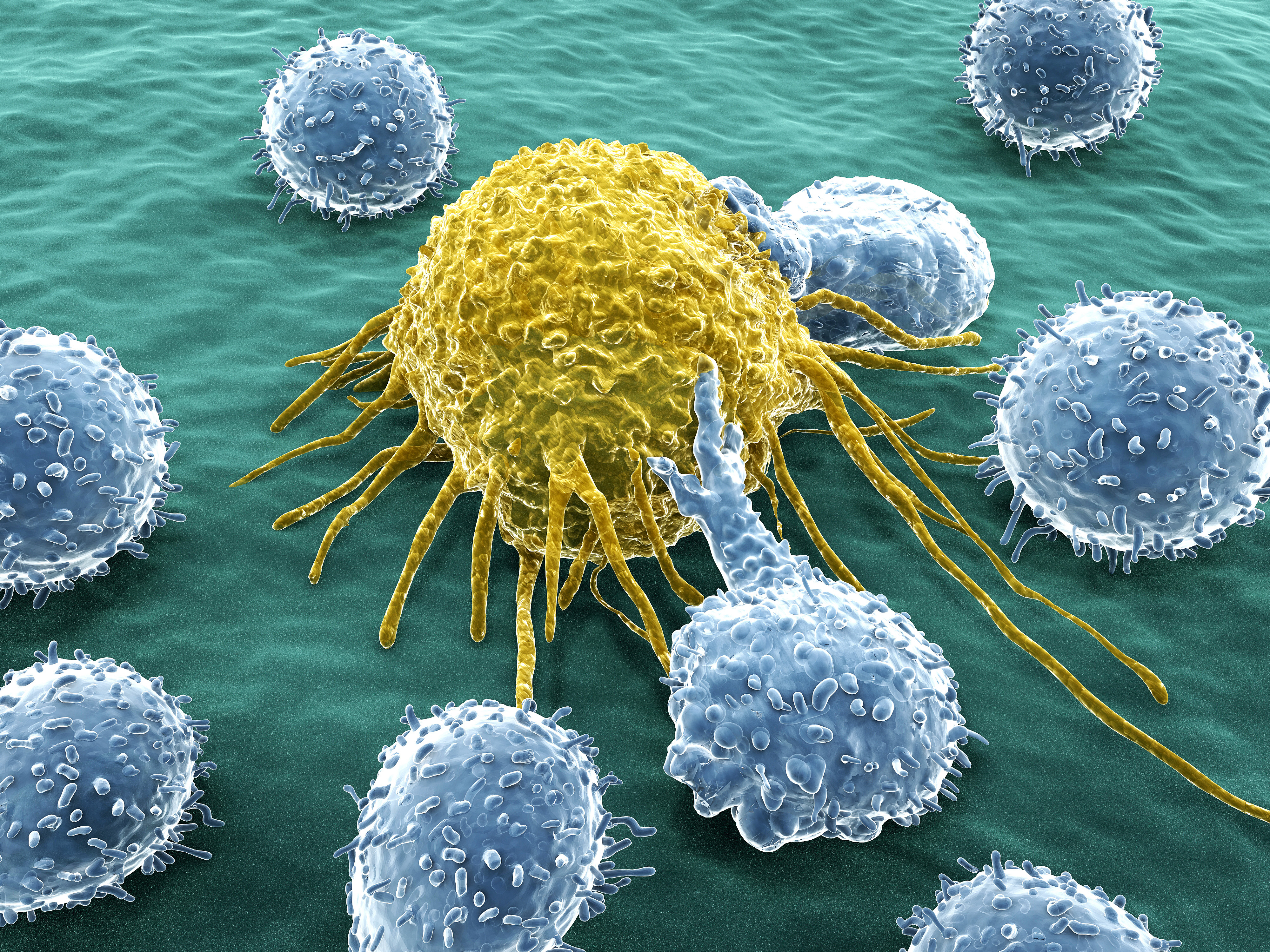 Immuno-oncology