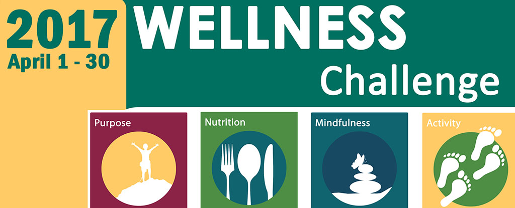 2017 Community Wellness Challenge graphic