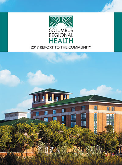 hideme_2017annualreport 2017 Annual Report to Our Community, cover image